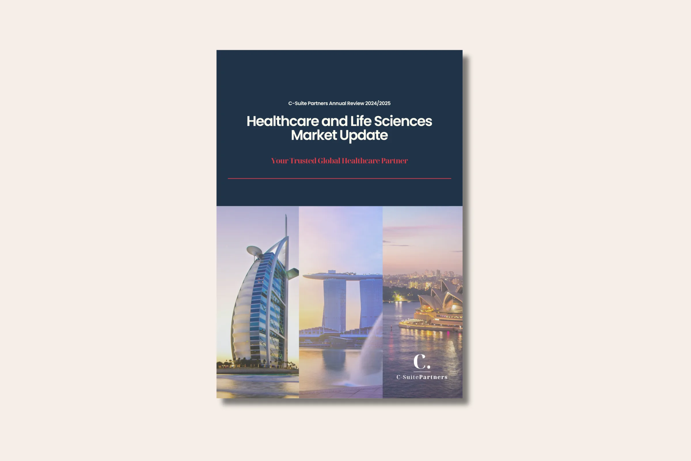 C-Suite Partners Healthcare and Life Sciences Update 2024